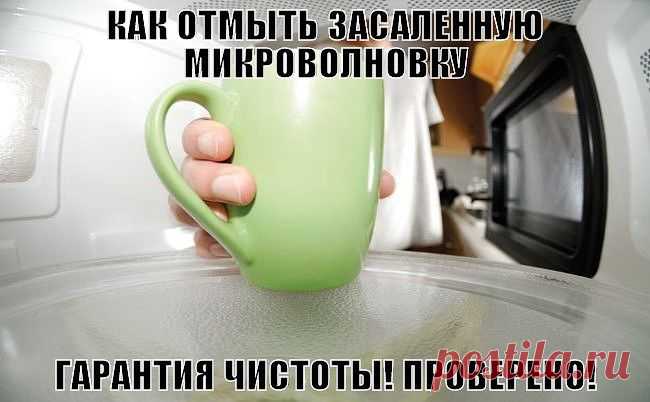 КАК ОТМЫТЬ ЗАСАЛЕННУЮ МИКРОВОЛНОВКУ.Безопасный и эффективный метод