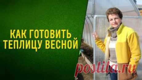 Очень простой способ подготовки теплицы весной. Сидераты. Видео Простой способ подготовки теплицы. Как готовить теплицу весной. Как обрабатывать почву в теплице? Когда сеять сидераты? Чем обработать стенки теплицы? Сидераты