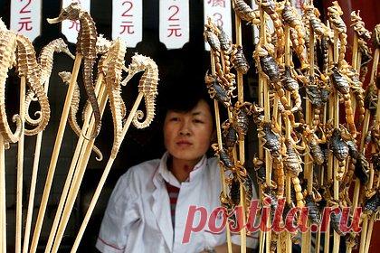 «Мне даже смотреть тошно». Какая еда шокирует российских туристов в США, Германии, Мексике и других странах?