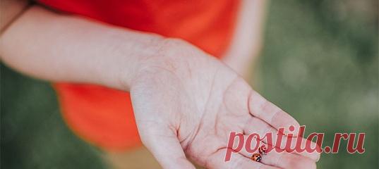 Невозможно говорить о самопознании, не вспомнив экзистенциального психотерапевта и популяризатора психологии Ирвина Ялома. Мы выбрали из его романов и воспоминаний восемь цитат, которые предлагаем как возможный ориентир в поиске себя. #мыслиожизни #цитатыожизни #мудрыемысли #философияжизни