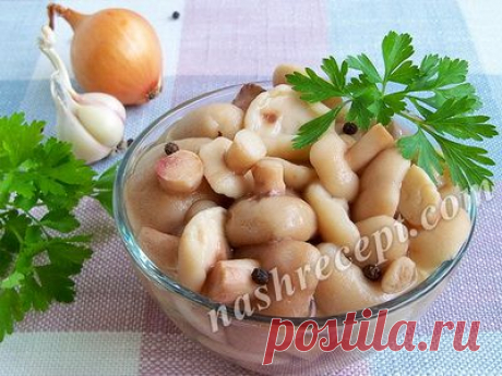 МАРИНОВАННЫЕ МАСЛЯТА