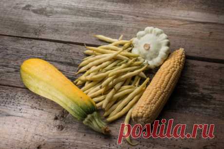 Три сестры: посадка кукурузы, бобов и сквоша вместе В стародавние времена люди были гораздо ближе к природе, чем мы сегодня. И знали они куда больше о том, как получить богатый урожай сажая вместе растения, которые помогают друг другу. И тем самым позв…