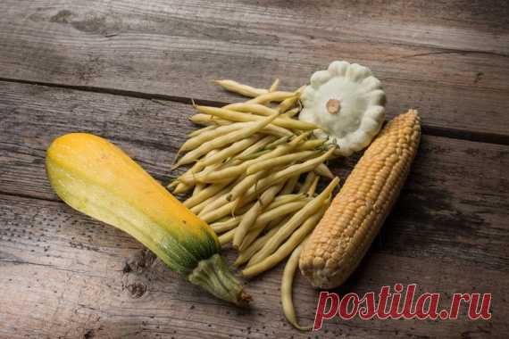 Три сестры: посадка кукурузы, бобов и сквоша вместе В стародавние времена люди были гораздо ближе к природе, чем мы сегодня. И знали они куда больше о том, как получить богатый урожай сажая вместе растения, которые помогают друг другу. И тем самым позв…