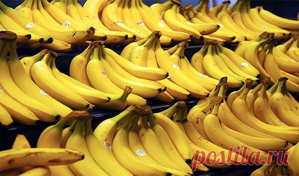 Сладкие факты про фрукты, которые вы не знали