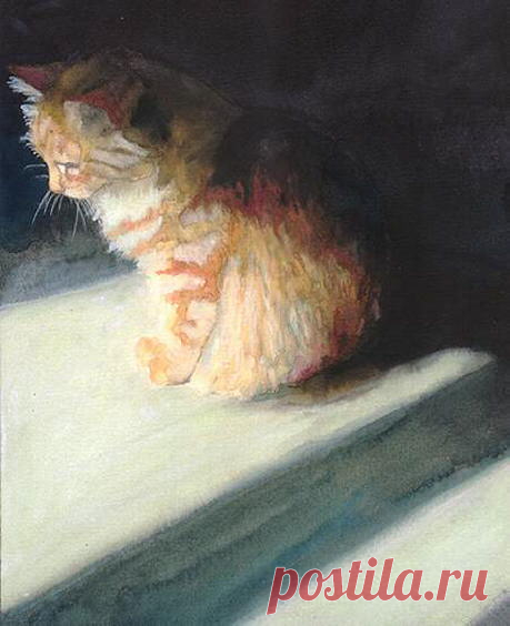 Кошачьи портреты. Тень кошки - Алекс Картер