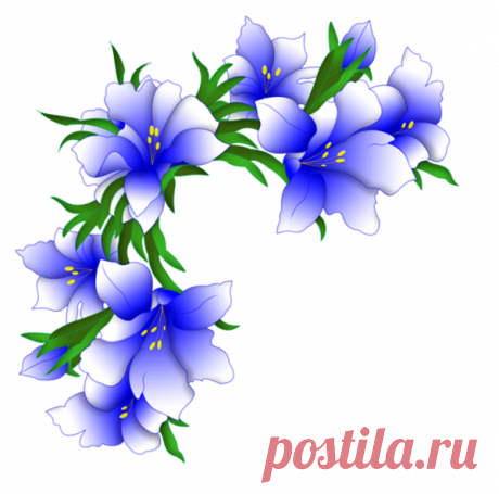 Esquinas florales - Diseño de web