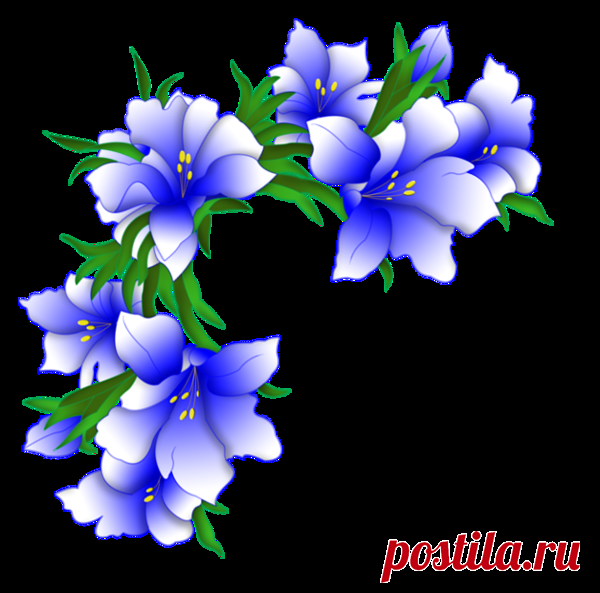 Esquinas florales - Diseño de web