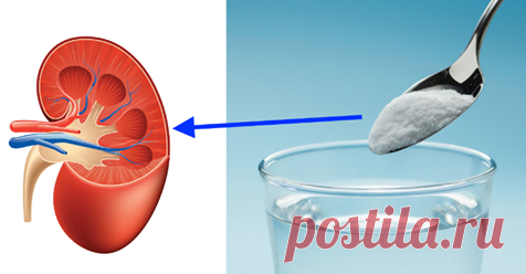 «Ремонт» почек естественным способом с 1 ингредиентом! Стоит попробовать! Наша эндокринная система является причиной того, что пища, которую мы едим, правильно усваивается с помощью гормонов или ферментов. Вы