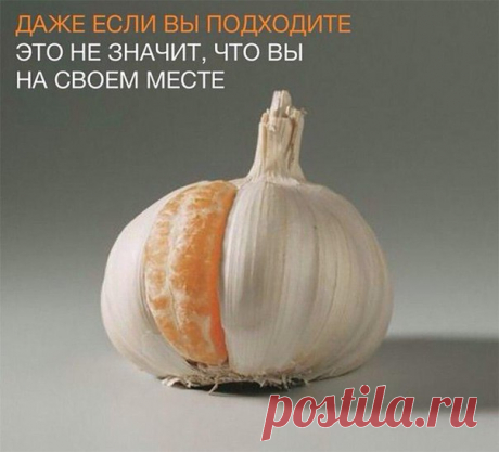 ДАЖЕ ЕСЛИ ВЫ ПОДХОДИТЕ....