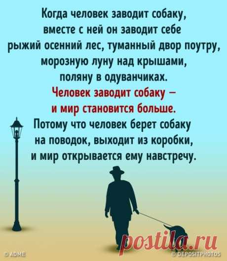 20 вещей, которые случатся с каждым, кто заведет себе собаку: goo.gl/zL38sY: