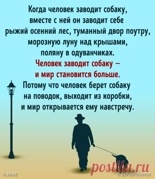 20 вещей, которые случатся с каждым, кто заведет себе собаку: goo.gl/zL38sY: