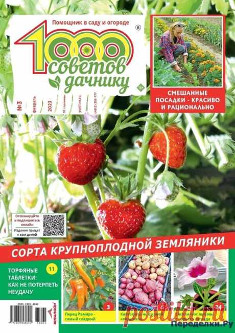 1000 советов дачнику №2,3 2023 * Переделки.Ру 1000 советов дачнику №2,3 2023 Читать журнал ОНЛАЙН
