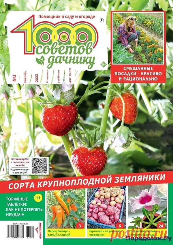 1000 советов дачнику №2,3 2023 * Переделки.Ру 1000 советов дачнику №2,3 2023 Читать журнал ОНЛАЙН