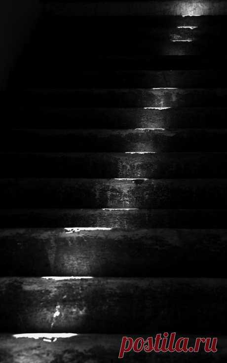 A Moment of Clarity in a Madhouse