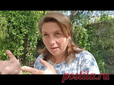 Святая Земля сегодня 16.04.20 ТАЙНАЯ ВЕЧЕРЯ И МЫ