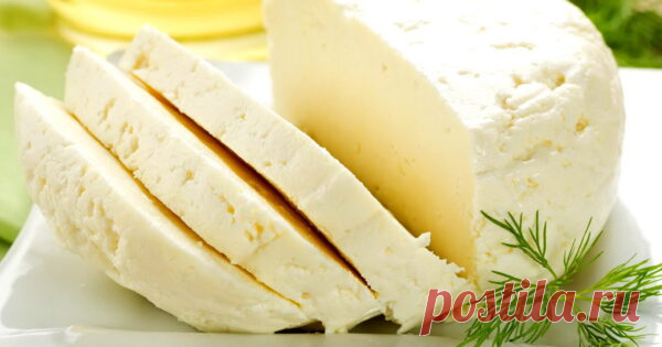 Рассольный продукт брынза — кладезь питательных веществ для организма человека. Сыр поддерживает здоровье и красоту. Брынзу можно легко приготовить в домашних условиях. Состав брынзы Удивительным...