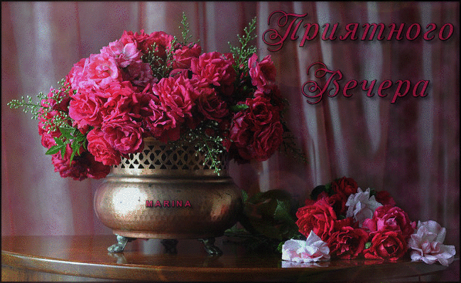 Плейкаст «Вам  желаю»