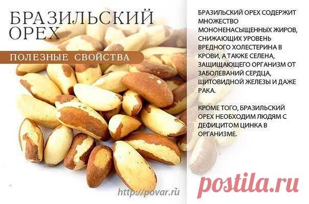 Академия здоровой жизни - Полезные орешки
