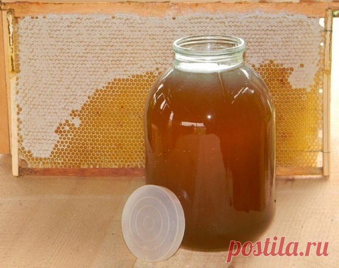 Вся правда о меде. Невероятно, но факт