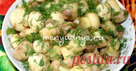 (7) Заготовки впрок в группе ПОГРЕБОК