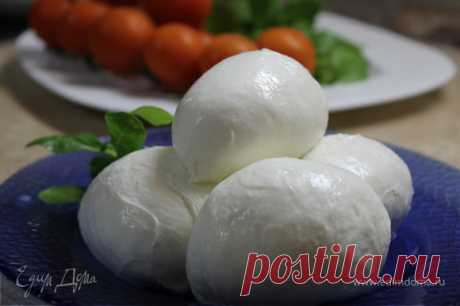 Сыр Моцарелла (Mozzarella)