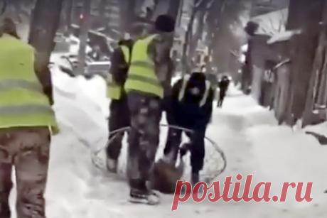 Российские коммунальщики задушили собаку на глазах у прохожих и попали на видео. В Самаре коммунальщики задушили собаку, пойманную в одном из дворов, на глазах у прохожих. На видеокадрах несколько мужчин в форме сотрудников коммунальных служб держат собаку в сетке. Животное держат мордой в снег. Очевидица событий за кадром предупреждает россиян, что у пойманной собаки есть хозяева.