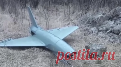 «Был нацелен на крупный объект гражданской инфраструктуры Мариуполя»: в ДНР перехватили британский беспилотник-камикадзе. Британский реактивный беспилотник-камикадзе Banshee Jet-80 перехвачен силовиками в Новоазовском районе ДНР, сообщил глава республики Денис Пушилин. По его словам, дрон, снаряжённый 7 кг взрывчатки, должен был нанести удар по крупному объекту гражданской инфраструктуры Мариуполя. В то же время в Брянской области были уничтожены два беспилотника самолётного типа. По словам…