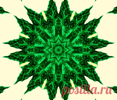 Green Floral Mandala  Free Stock Photo HD - Public Domain Pictures