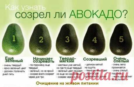 Пин содержит это изображение: