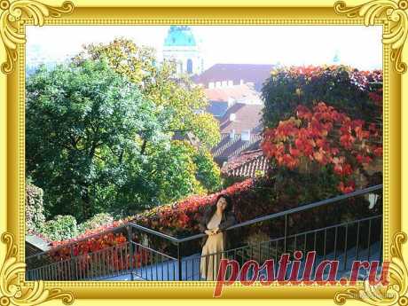 Прогулки по Праге на общественном транспорте и пешком без проф.экскурсий, но с рассказами, показами, фотосессией и ответами на все вопросы - 20 евро/час с чел. либо 100 евро/день за компанию от 2 человек: встреча и проводы к Вам в отель, квитанция об оплате перед выездом на прогулку.