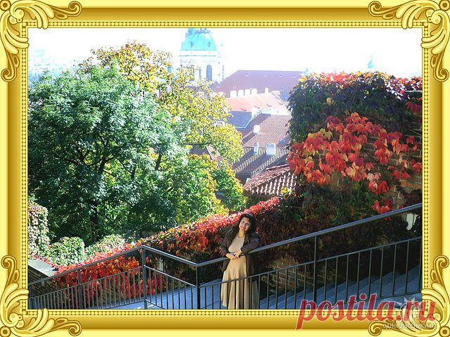 Прогулки по Праге на общественном транспорте и пешком без проф.экскурсий, но с рассказами, показами, фотосессией и ответами на все вопросы - 20 евро/час с чел. либо 100 евро/день за компанию от 2 человек: встреча и проводы к Вам в отель, квитанция об оплате перед выездом на прогулку.