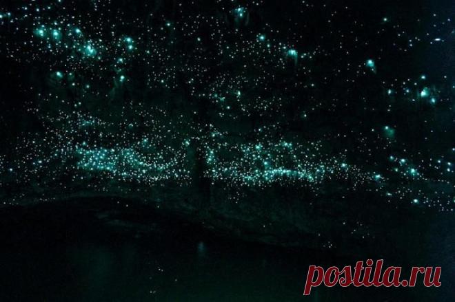 15 самых красивых пещер мира!.                          Пещера Ваимото является уникальным прибежищем эндемичного вида светлячков – насекомые не перелетают с места на место, а мириадами свисают со свода пещеры на тончайших шелковых нитях.
8-28-3
 Пещера Там Лод (Таиланд)
9-1
Река Нам Ланг в Северном Таиланде протекает через величественную пещеру, наполненную огромными сталактитами и сталагмитами и заселенную многими тысячами океанск