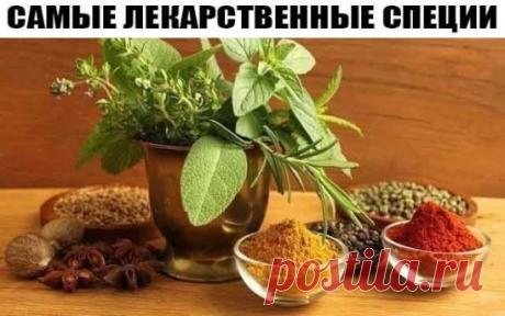 САМЫЕ ЛЕКАРСТВЕННЫЕ СПЕЦИИ
Пряности - действенные лекарства в борьбе с сердечно-сосудистыми и даже онкологическими заболеваниями
1. Антихолестериновый эффект.- Особенно выражен у куркумы и корицы.
2. Борются с простудой.
Имбирь, гвоздика, корица обладают мощным стимулирующим и тонизирующим эффектом, мобилизуют внутренние силы, активизируют кровоснабжение. В результате человек выздоравливает быстрее.
3. Помогают похудеть.
Даже острые закуски, которые подаются перед обедом, не разжигают аппетит, а