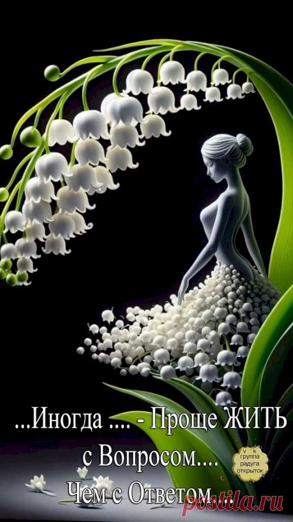 72fc7a96.jpg (576×1024)