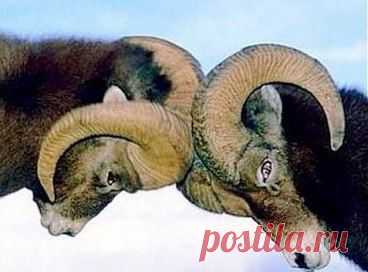 О чем говорит потребность что-то доказывать????
