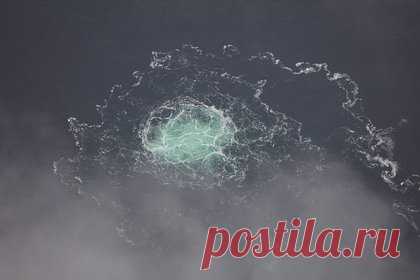 В США решили найти «козла отпущения» в деле о подрыве «Севпотоков». Вашингтон ищет «козла отпущения», чтобы переключить внимание общественности от причастности США к подрыву газопровода «Северный поток», заявил исполнительный президент Евразийского центра в Вашингтоне, подполковник армии США в отставке Эрл Расмуссен. Американцы сыграли большую роль в подготовке диверсии.
