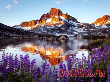 (35) Одноклассники