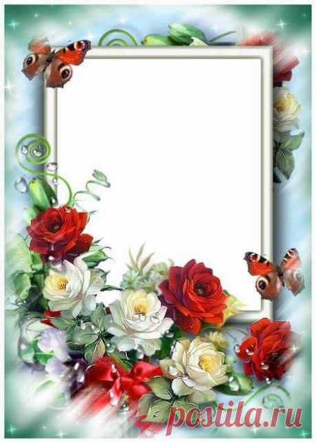 Plantilla de marco de fotos con flores y mariposas. Marco PNG transparente, plantilla de marco de fotos en capas PSD, descarga.