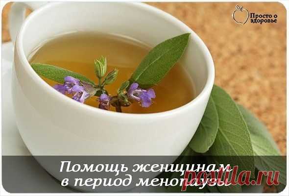 Натуральные средства от потливости в период менопаузы.