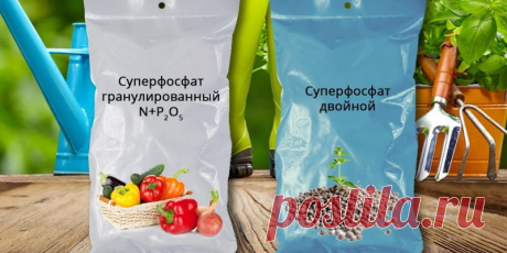 «Хобби»: темы