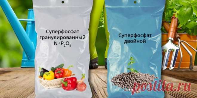 «Хобби»: темы