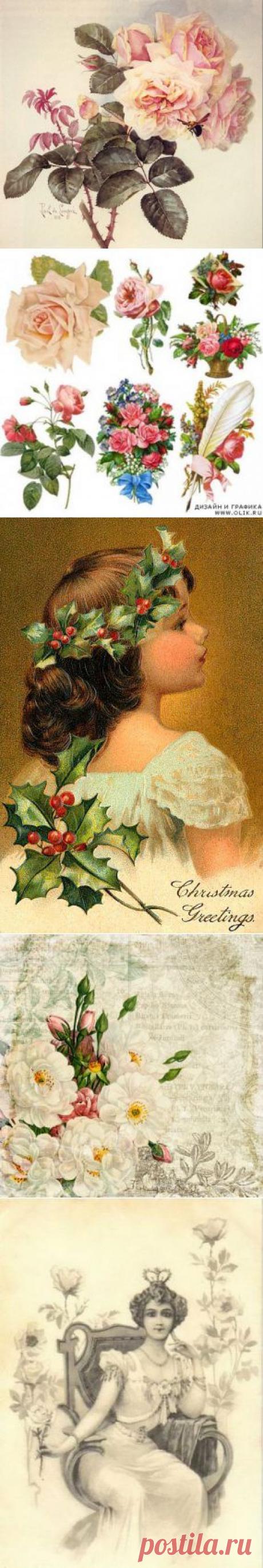 Винтажные картинки для декупажа: фото-галерея для применения в работе