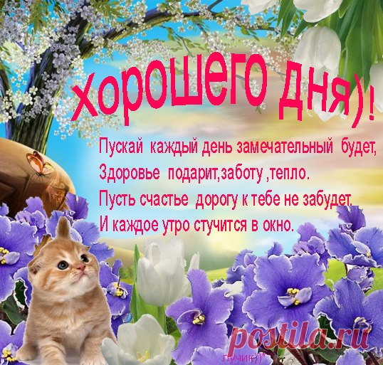 музыкальное пжоелание "ЗОЛОТОЕ СЕРДЦЕ"   Михайлов