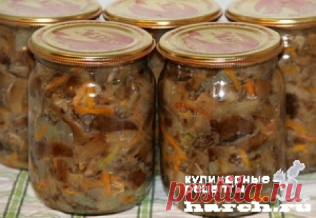 Без заголовка