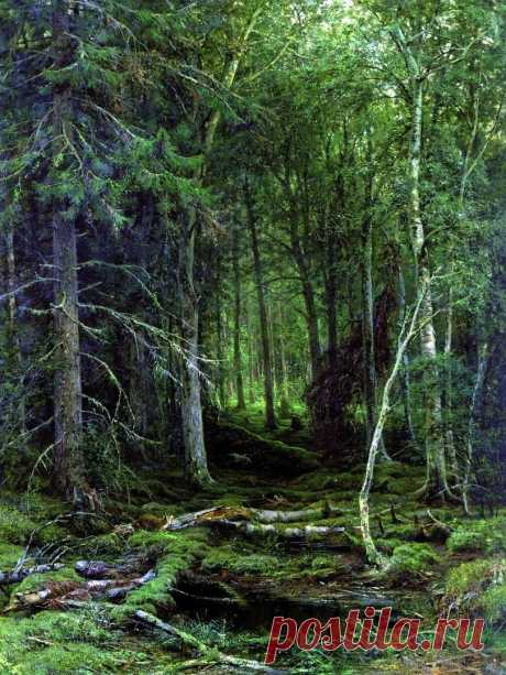 Художник Иван Иванович Шишкин (1832-1898).
"Лесная глушь", 1872 г.
