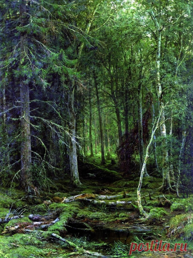 Художник Иван Иванович Шишкин (1832-1898).
