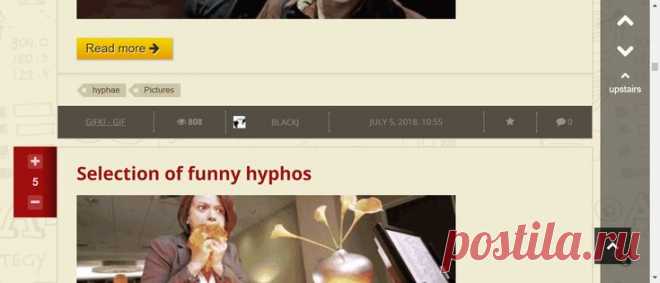 Gifki - gif / Entertaining portal MainFun.ru on elrey delmundo | Trello