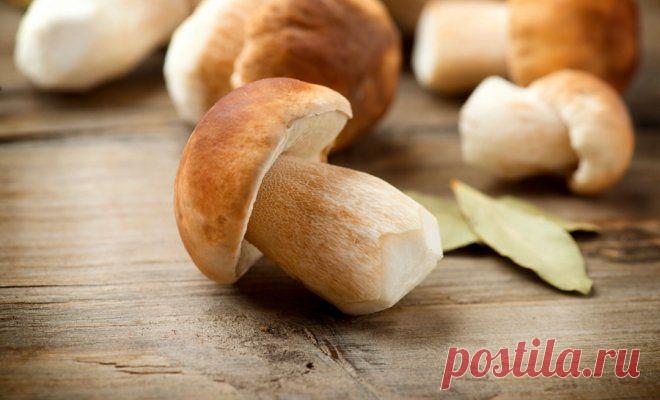 Боровики маринованные "Красавцы" | Заготовки