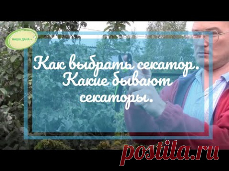 Как выбрать секатор  Какие бывают секаторы. Ефимов Игорь