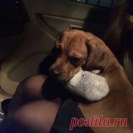 Что теперь сможет сделать с вашим телом пластический хирург: 5 невероятных новых операций